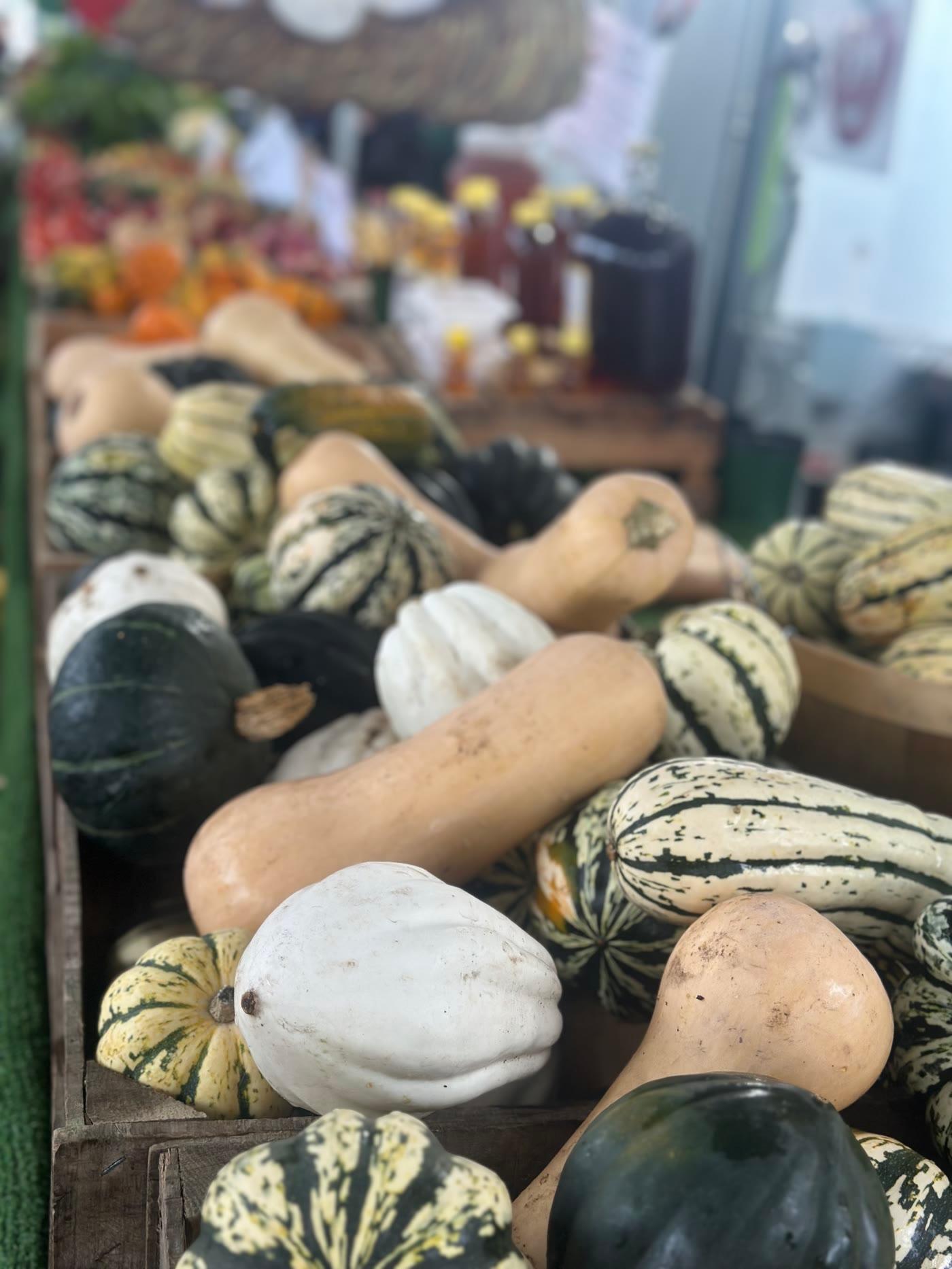 Crates of assorted winter squash at a farmers market